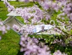 Wellness & relaxation