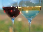 Guided tour of the wine cellar “Von Braunbach” in Siebeneich